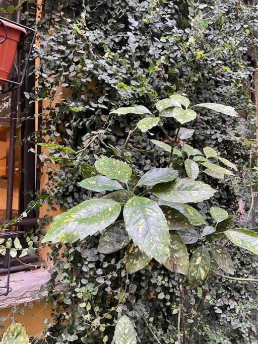 Loft Di Design Nel Cuore Di Milano Ngoại thất bức ảnh